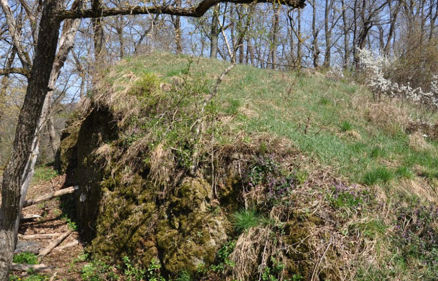 Horákovský Hrad (Rozcestník), Czech Republic (Czechia)